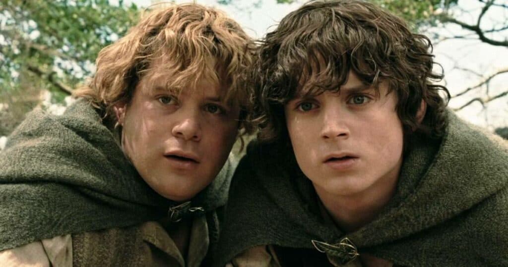 frodo and sam.